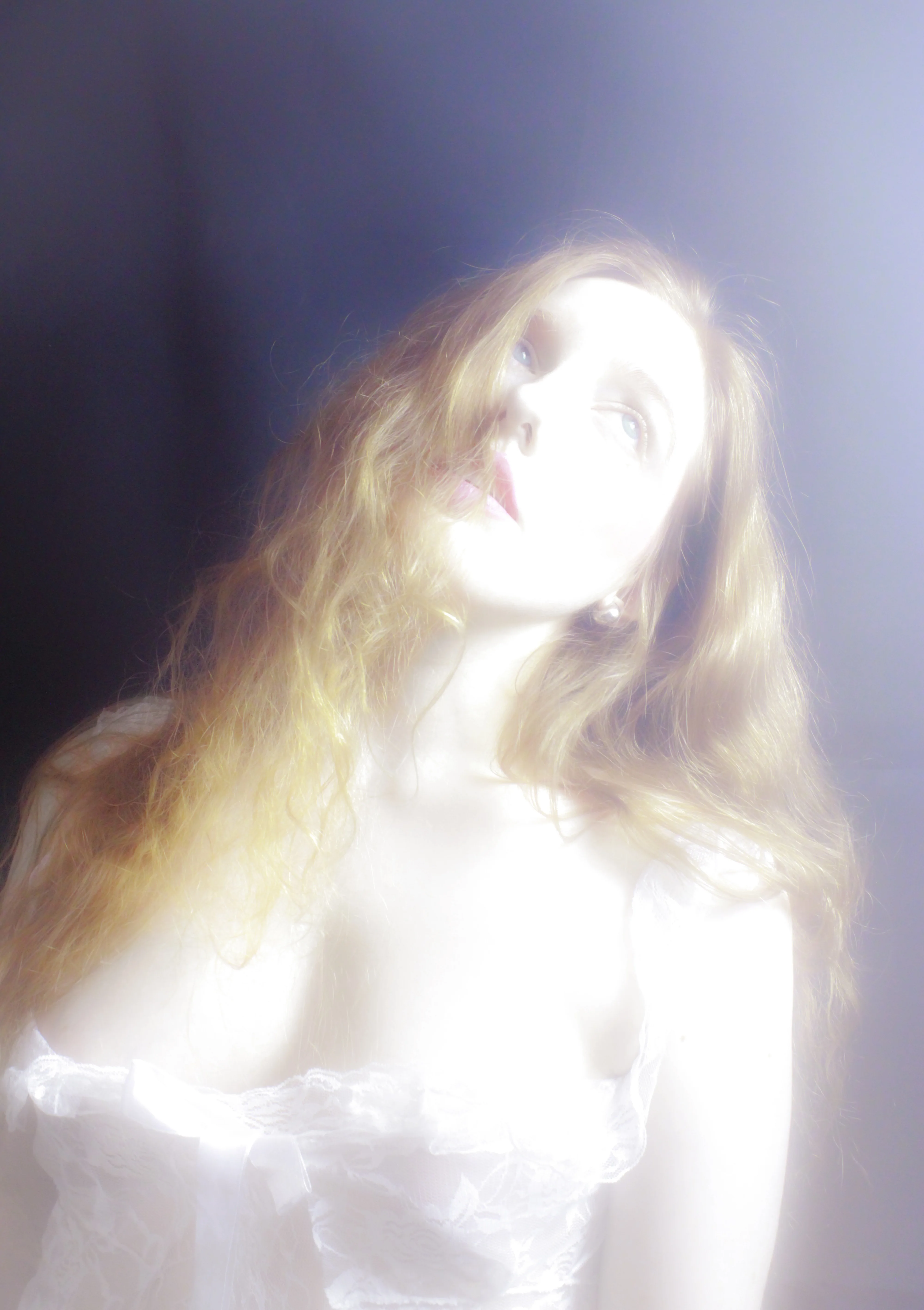 Lights, blood, wind and plants 