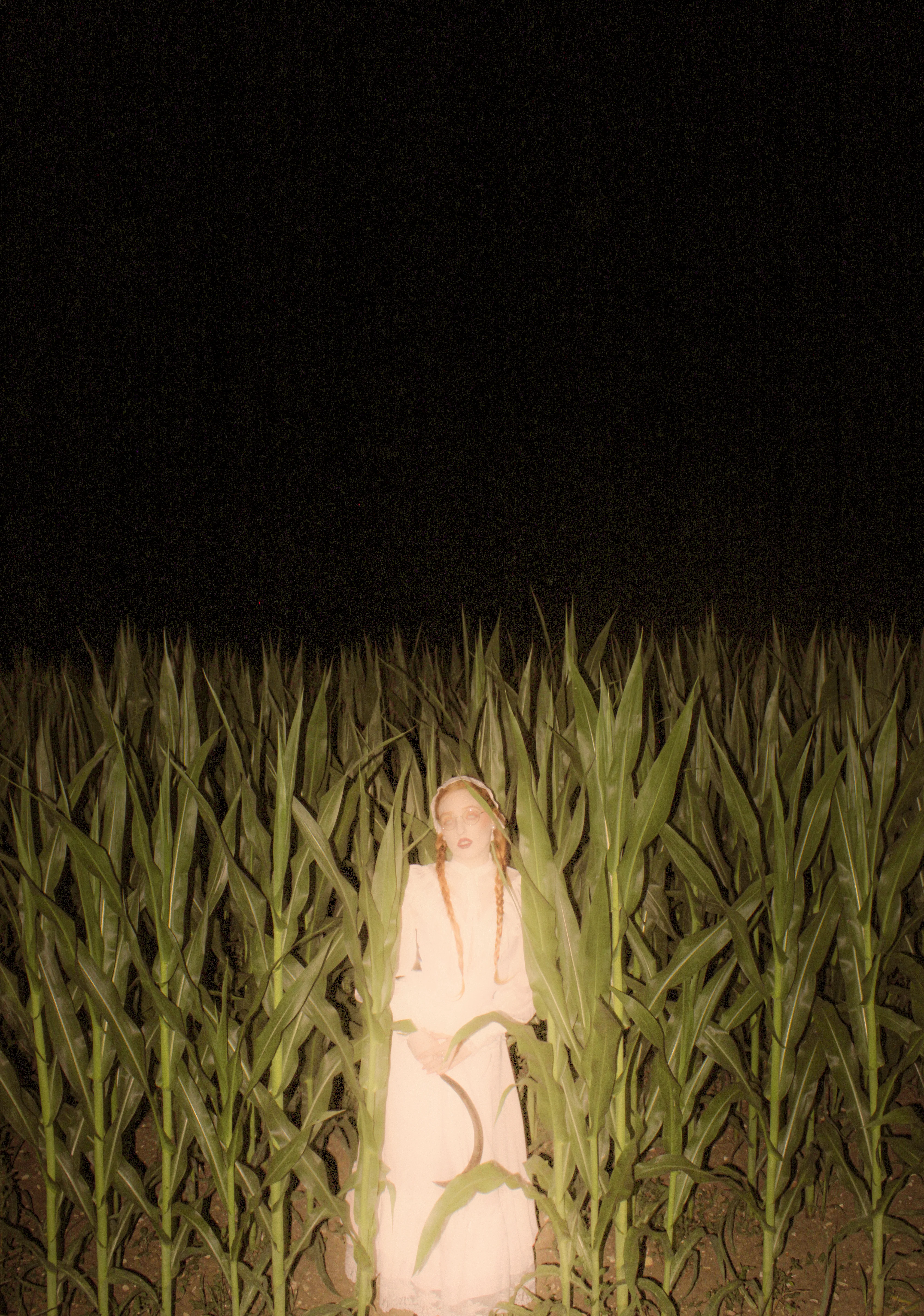 Cornfield